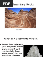 Sedimentary Rocks