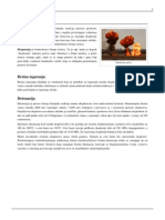 Eksplozija PDF