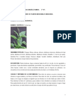 NOMBRE DE PLANTAS MEDICINALES INDIGENAS.doc