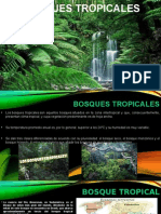 Exposicion Bosques Tropicales Del Mundo