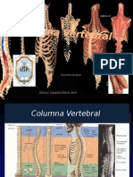 Columnavertebral