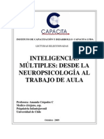 Inteligencias Multiples Desde La Neuropsicologia Al Trabajo