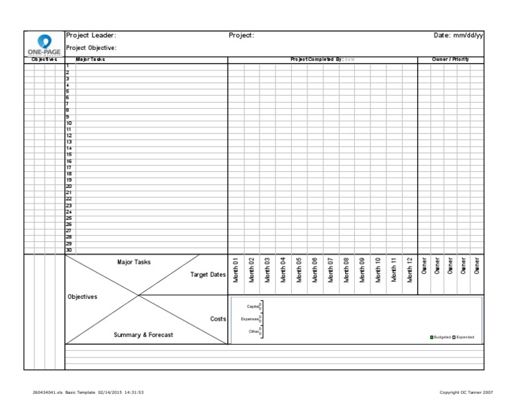 OPPM Template | PDF