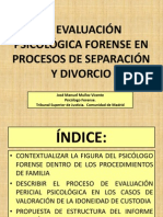 La Evaluacion Psicologia Forenseenprocesos Deseparacion y Divorcio Jose Manuel Muñoz