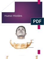 Hueso Hioides