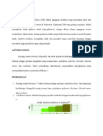 Diabetes Mellitus