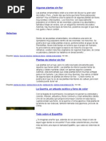 PLANTAS ORNAMENTALES2