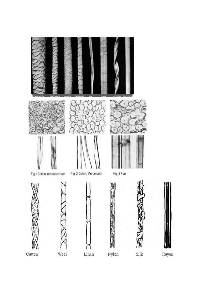 Forensics Fibers Notes PDF Rayon Textiles