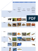 answer key classification table