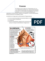 Causas y Transmision de Chagas