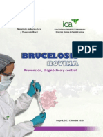 Brucelosis-Bovina4.pdf