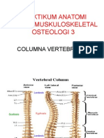 Praktikum Anatomi Sistem Muskuloskeletal Osteologi 3: Columna Vertebralis