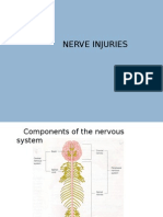 nerve injury.pptx