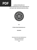 Download PPOK by made cintia SN255790977 doc pdf