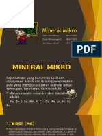 Mineral Mikro