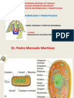 Estructuras Bacterianas PDF