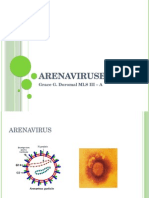 Arenavirus Report
