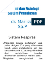Anatomi Dan Fisiologi Sistem Dr. Marliza, Sp.P