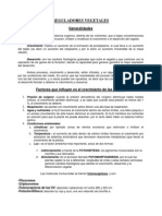 Fitohormonas-KOMPLETO.pdf
