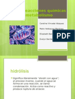 Tipos de Reacciones Químicas Del Metabolismo