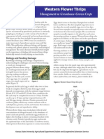Western Flower Thrips Management On Greenhouse - Grown Corps