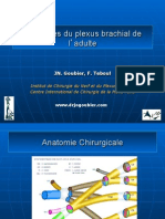 3-6 Plexus Brachial (DR Goubier)