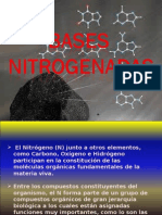 Bases Nitrogenadas