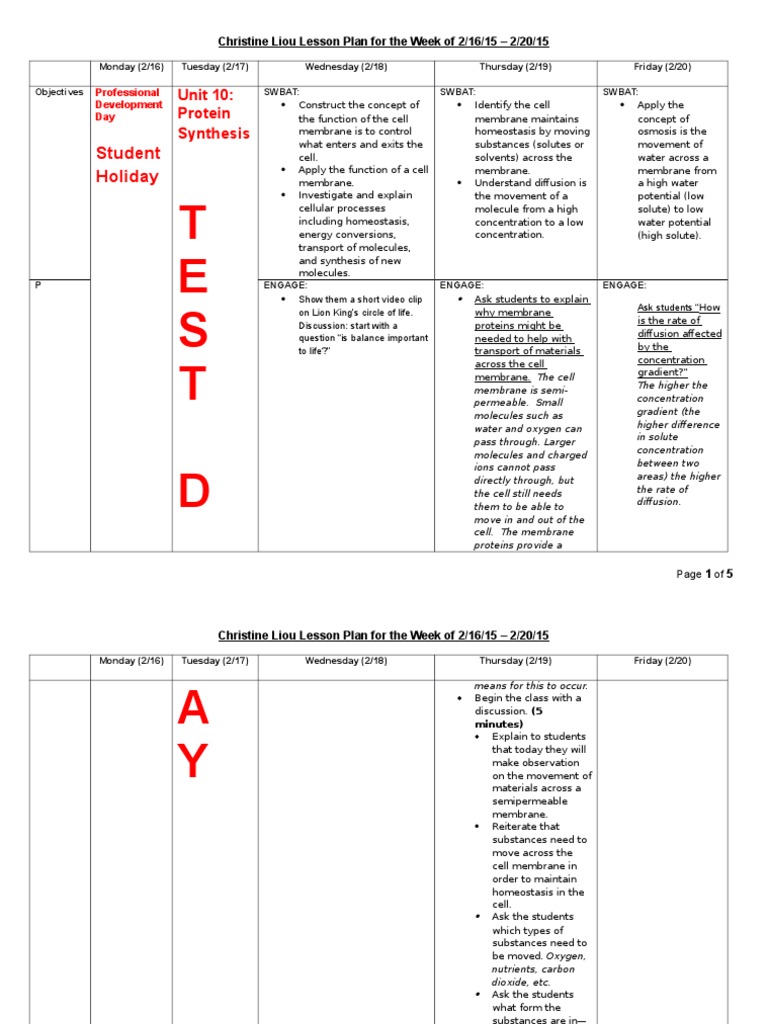 2 16 2 20 Homeostasis Cell Membrane Chemistry