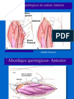 Abordajes quirúrgicos cadera guía completa