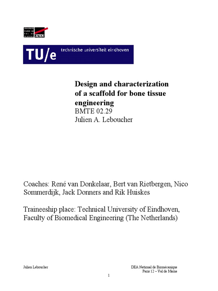 Design and Characterization of A Scaffold For Bone Tissue Engineering ...