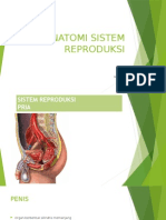 Anatomi Sistem Reproduksi