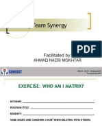 Building Team Synergy Participant Package
