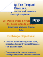 The Big Ten Tropical Diseases.: Categorization and Research Strategic Emphases