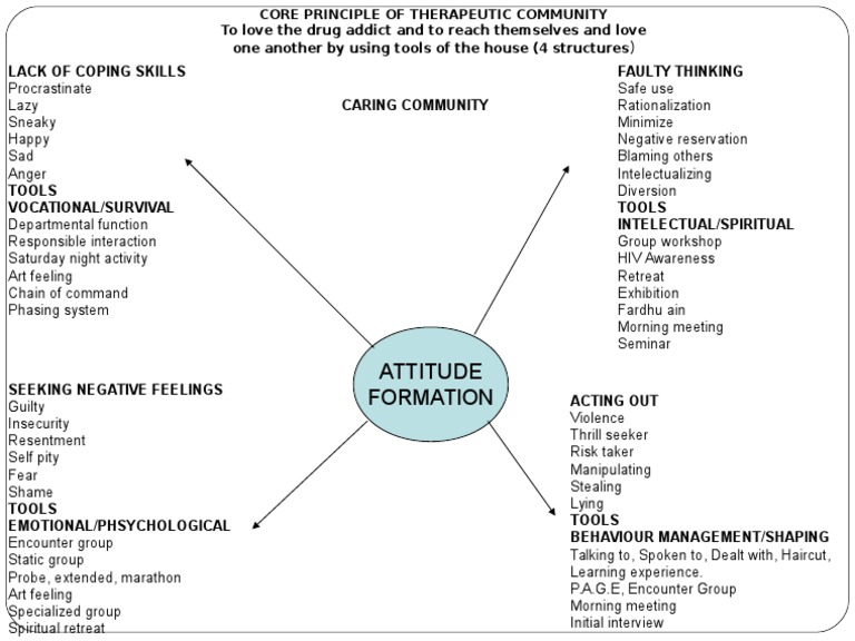 CORE PRINCIPLE OF THERAPEUTIC COMMUNITY.ppt