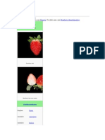 Strawberry: For Other Species of Strawberry, See - For Other Uses, See