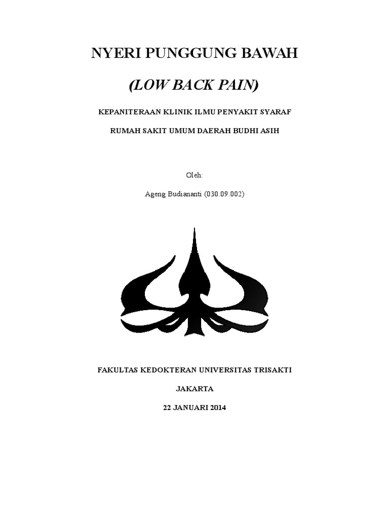 Back pain essay 03 picture