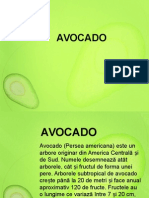 Avocado