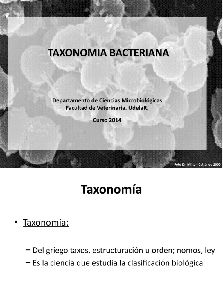 Taxonomia Microbiana Las bacterias Biología Celular)