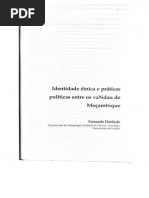 Fernando Florencio Identidade Étnica e Práticas Políticas Entre Os VaNdau de Moçambique