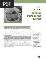 Sistem Peredaran Darah PDF