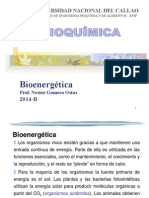 Clase 04 Bioenergetica
