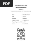 Download Isolasi Kurkumin Dari Kunyit by lutviaputri SN255918966 doc pdf