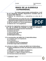 Proyecto Vengadores Endocrino Suprarrenal y Paratiroides