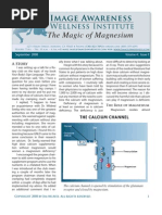 Download The Magic of Magnesium by Nishit Kotak SN25595717 doc pdf