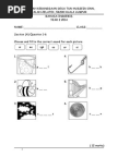 Soalan ENGLISH BI Bahasa Inggeris Tahun 2 Paper 2