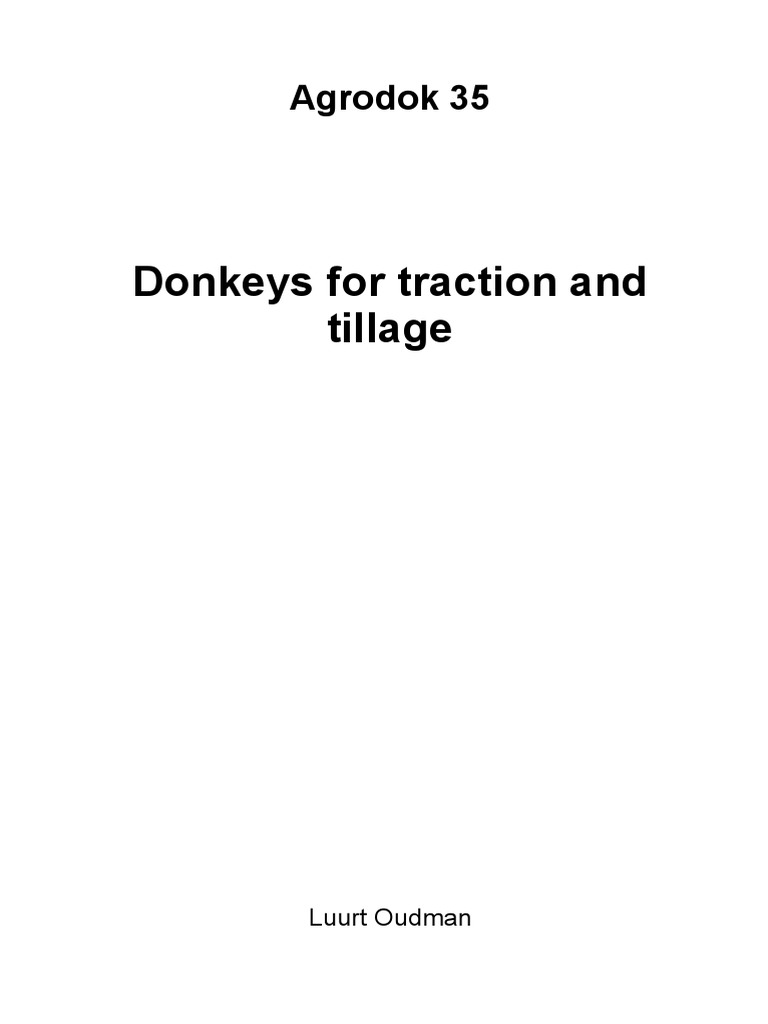 Donkey | PDF