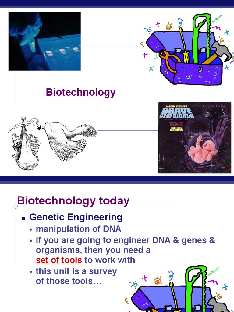 biotechnology ap bio pdf Polymerase Chain Reaction Plasmid