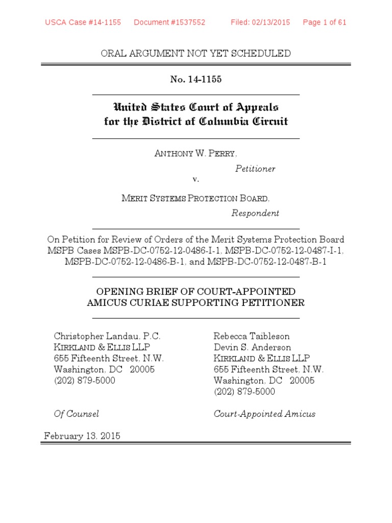 What Is Merit And Amicus Briefs? – EUIYZ