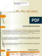 Matriz Mic Mac de Lipsor, Daniel Calles y Jose Oropeza