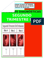 Segundo Trimestre de Embarazo